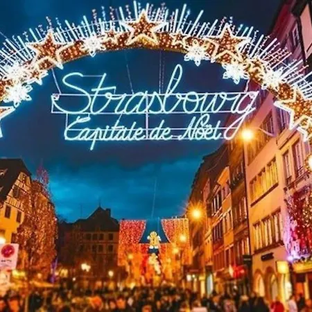 New, T2 Neuf Proche Parlement 아파트 스트라스부르