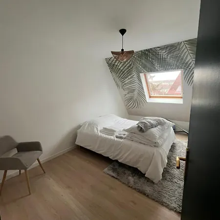 New, T2 Neuf Proche Parlement 스트라스부르