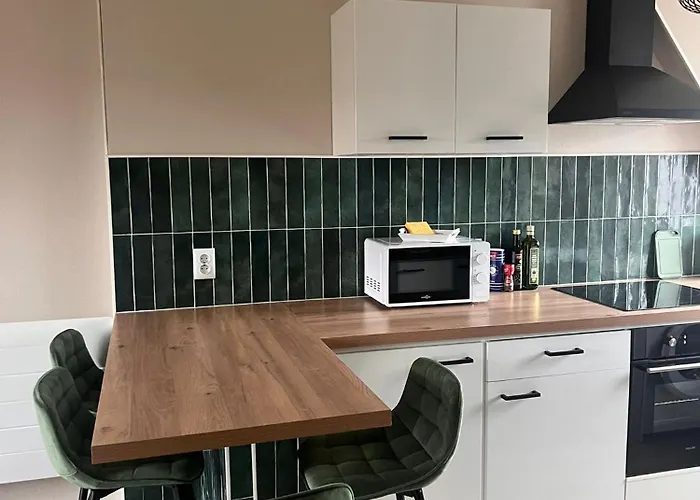 Appartement New, T2 Neuf Proche Parlement Straatsburg