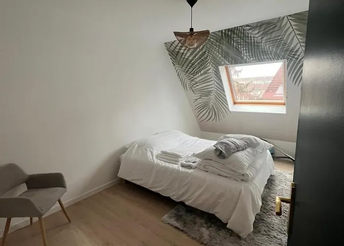 New, T2 Neuf Proche Parlement Strasbourg