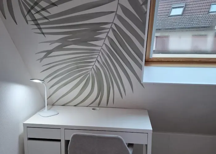 New, T2 Neuf Proche Parlement * Strasbourg